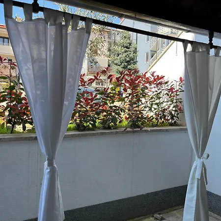 Angels - Anna Daire *